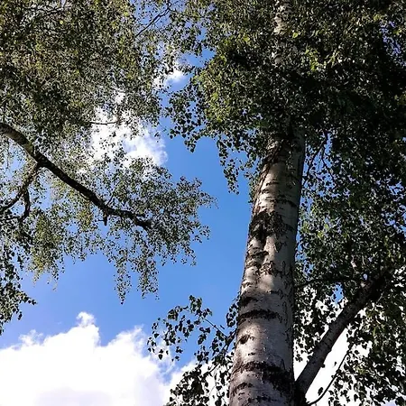 Blumenraum - In アパート *