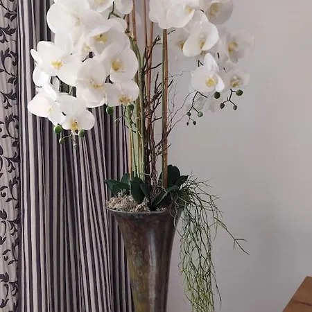 Appartement Blumenraum - In Karlsruhe