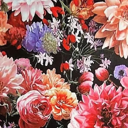 Appartement Blumenraum - In